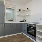 Pejakovic 아파트