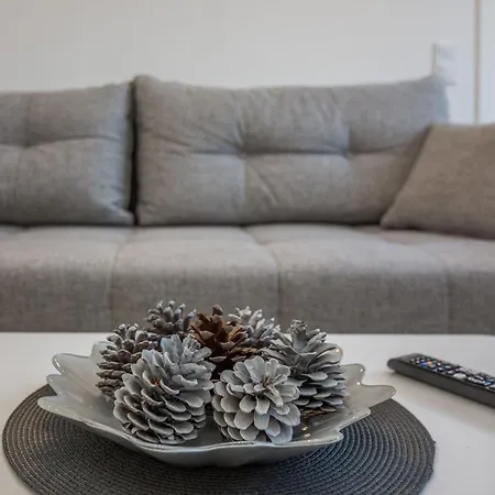 Pejakovic Apartment *